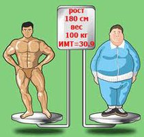 Сколько должен весить здоровый человек – параметры роста, возраста, соотношение жира