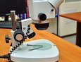 Два микроскопа: один — переносной для работы на месте происшествия, другой — стационарный, позволяет разглядывать микрообъекты, следы взлома, купюры, исправленные документы.