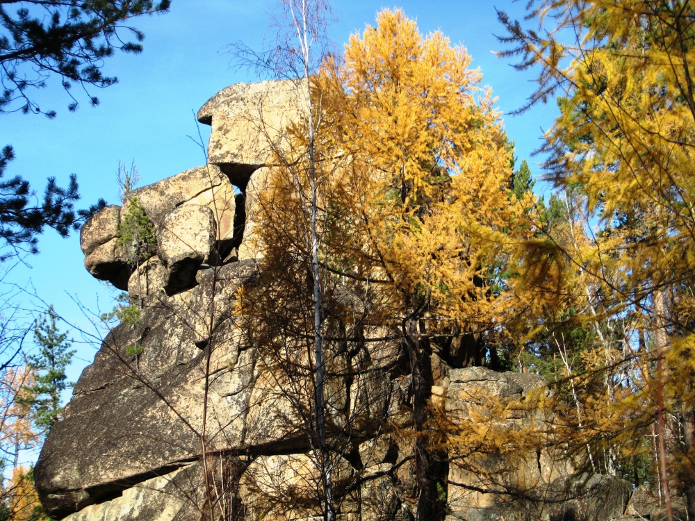Скальник Верблюд. Фото Натальи Шубиной