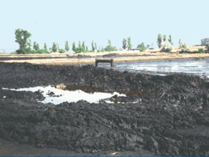 Нефтяные отходы. Фото с сайта www.45037.ru