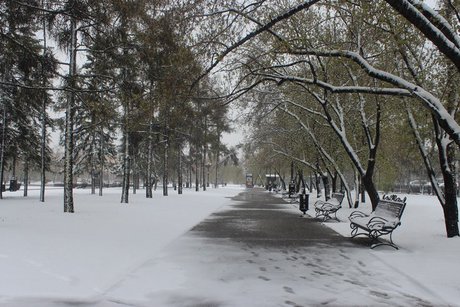 В Иркутске. Фото ИА «Иркутск онлайн»