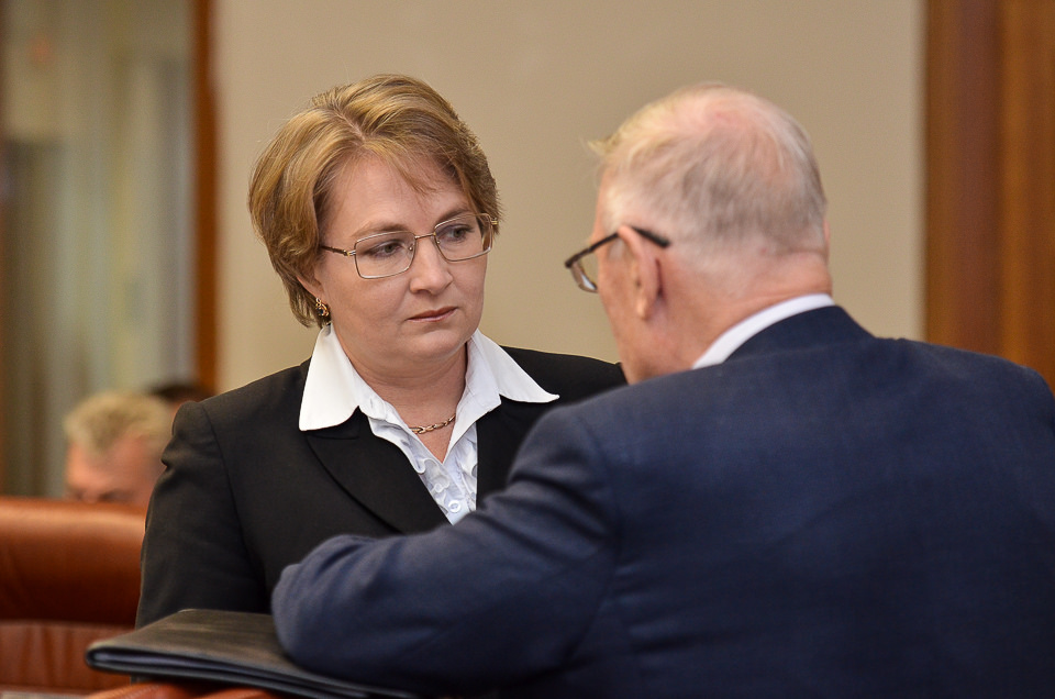 Светлана Семенова, уполномоченный по правам ребенка в Иркутской области