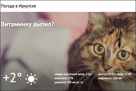 Скриншот раздела