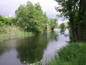Река. Фото с сайта nikvesti.com
