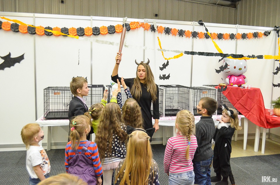 В рамках выставки организовали развлекательную программу для детей.