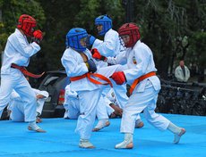 В мероприятии приняли участие воспитанники школ боевых искусств