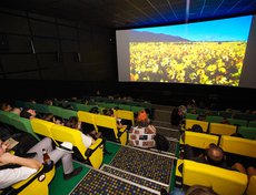 На большом экране зрители увидели 400 роликов из 50 стран мира