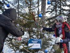 30 живых елей украшали почетные семьи Иркутска, команды ТОСов, городских сообществ, учреждений образования, культуры, спорта, здравоохранения, молодежные организации и коммерческие компании.