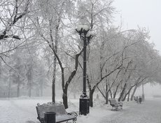 Фото Марины Юсуповой