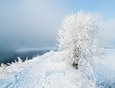 Верхняя Набережная. Фото Дмитрия Пайкина