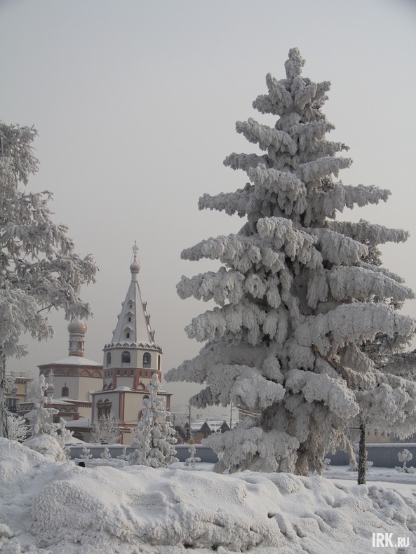 Фото Александры Стеганцевой