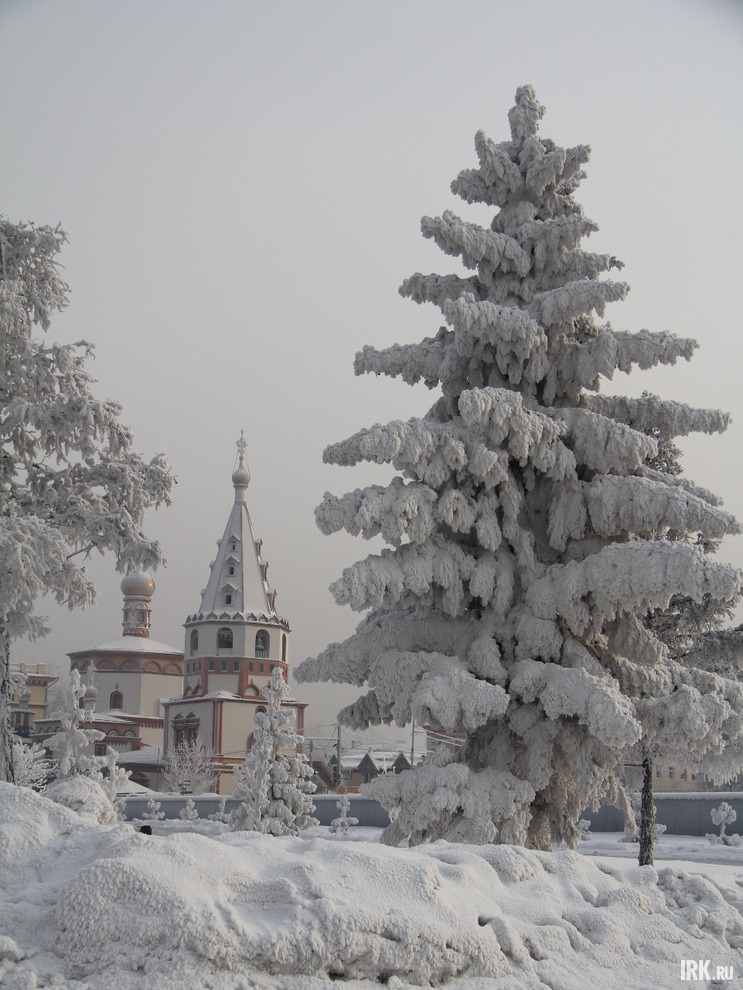 Фото Александры Стеганцевой