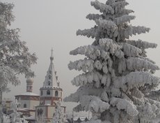 Фото Александры Стеганцевой