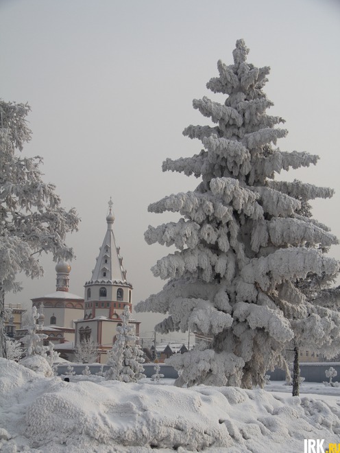 Фото Александры Стеганцевой
