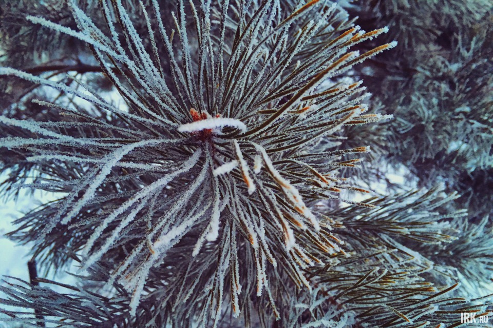 Фото Олеси Чечугиной