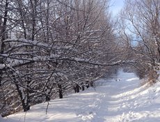 Фото Алексея Афанасенко