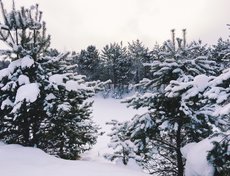 Фото Алёны Кадочниковой