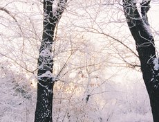 Фото Алёны Кадочниковой