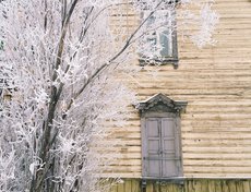 Фото Алёны Кадочниковой
