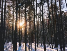 Фото Алёны Кадочниковой