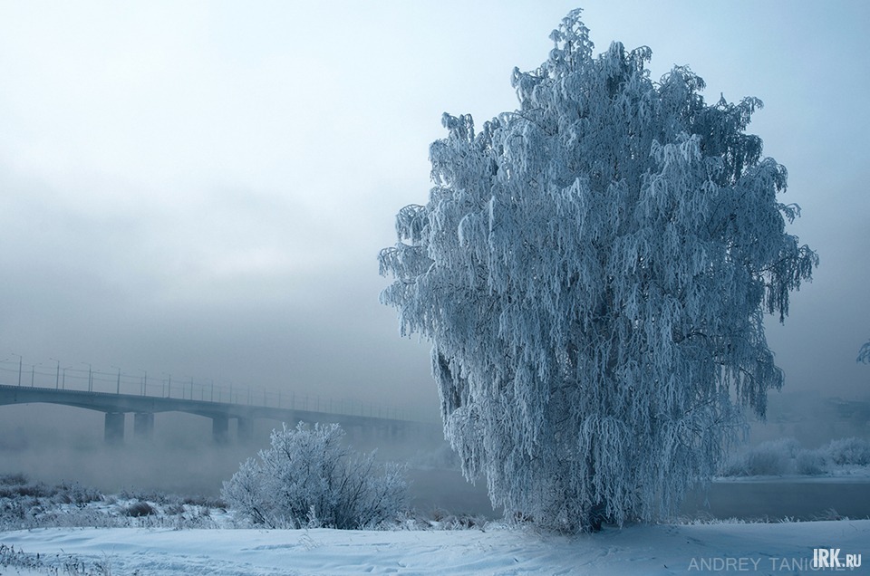 Фото Андрея Таничева