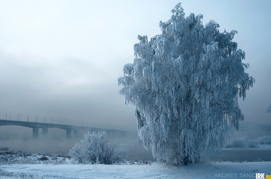 Фото Андрея Таничева