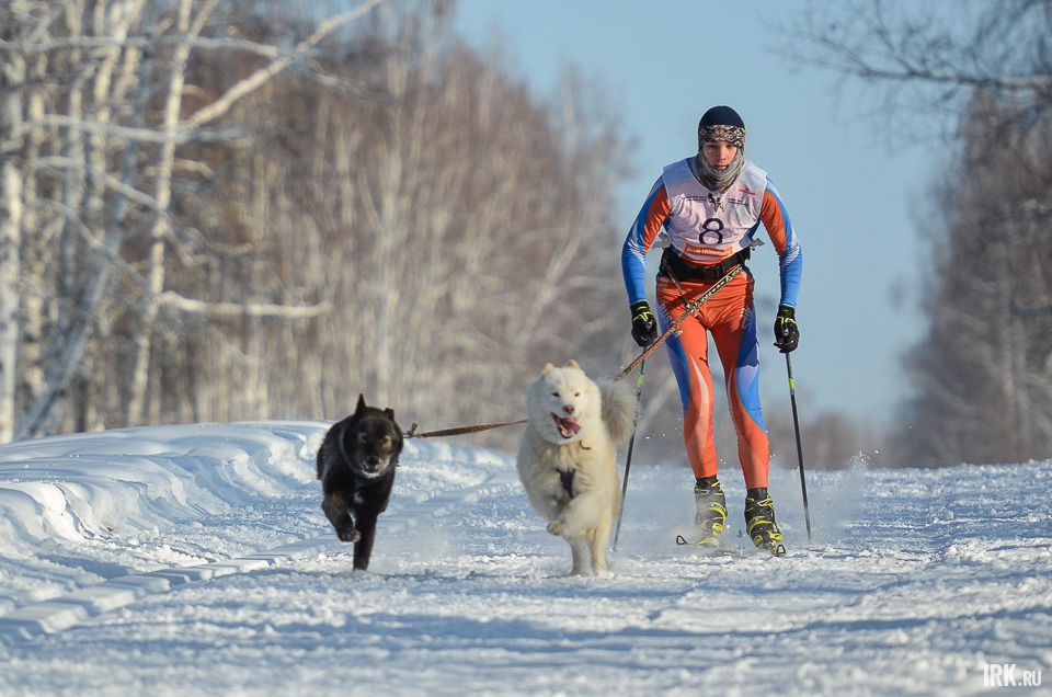 Наездник Илья Демин с Арагорном и Бирмой-Бусой показали лучшее время среди мужчин на дистанции 10 километров.