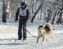 Андрей Щербаков с аляскинским маламутом Байкалом Соулом Ойнуром вышли на дистанцию 10 километров в дисциплине ски-джоринг.