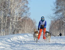Анна Исмаева и ее сибирские хаски Чукотка и Балу Дарлинг Беа. Заняли второе место среди женщин на дистанции 10 километров.