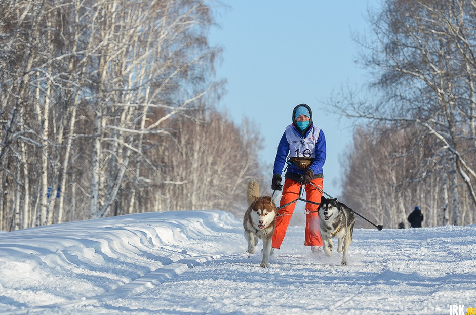 Анна Исмаева и ее сибирские хаски Чукотка и Балу Дарлинг Беа. Заняли второе место среди женщин на дистанции 10 километров.