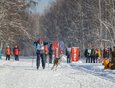 Участник Владимир Дрыга и его сибирский хаски преодолели дистанцию пять километров в дисциплине ски-джоринг и заняли второе место.