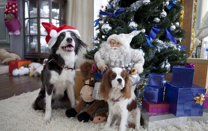 Кадр из фильма «Елки 3». Фото с сайта www.kinopoisk.ru