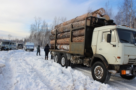 «КамАЗ» с незаконно срубленным лесом. Фото ГУ МВД России по региону