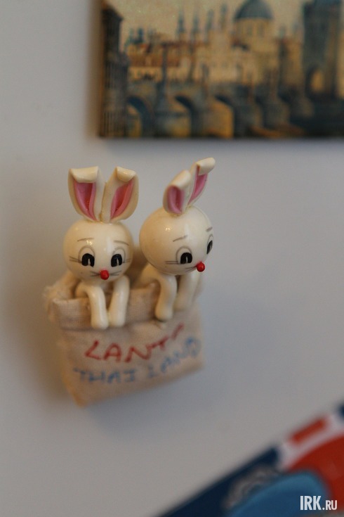 Эта парочка на холодильнике — сувенирный магнит из Таиланда.