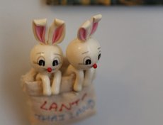 Эта парочка на холодильнике — сувенирный магнит из Таиланда.