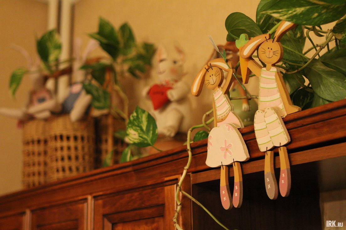 Почти все кролики — семейные. И по дому они расселились парами.