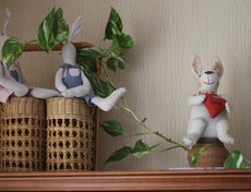 Дети — цветы жизни. Кролики тоже справляются с этой ролью, заменив на подставке фиалки и традесканции.