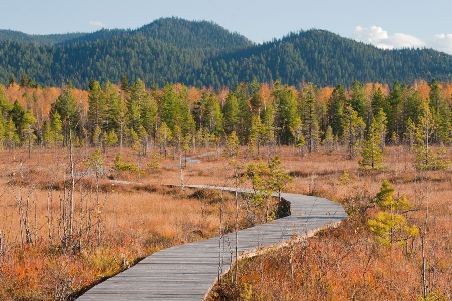 Фото с сайта www.baikal-zapovednik.ru