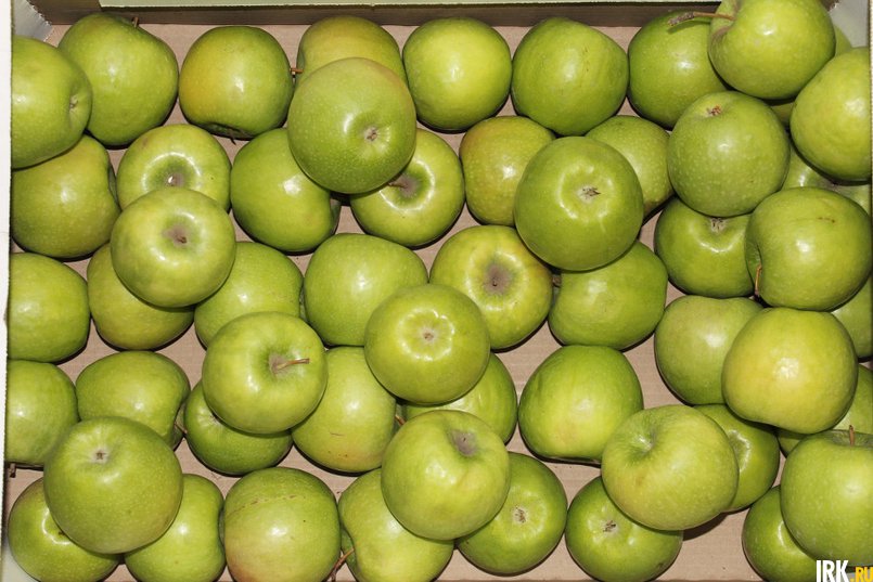 Калиброванные яблоки. Фото — Ольги Спиряевой