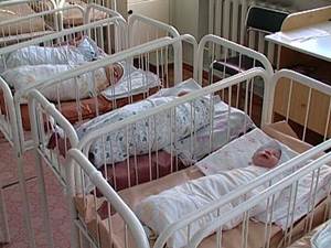 Новорожденные. Фото из архива АС Байкал ТВ