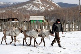 В Тофаларии. Фото Александра Осинцева