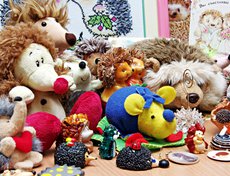 На сегодняшний день ее коллекция насчитывает 50 сувениров и игрушек.