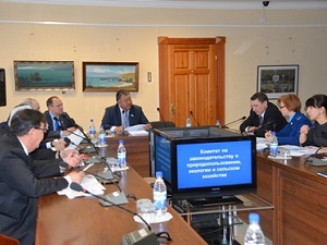 На заседании комитета. Фото с сайта www.irk.gov.ru