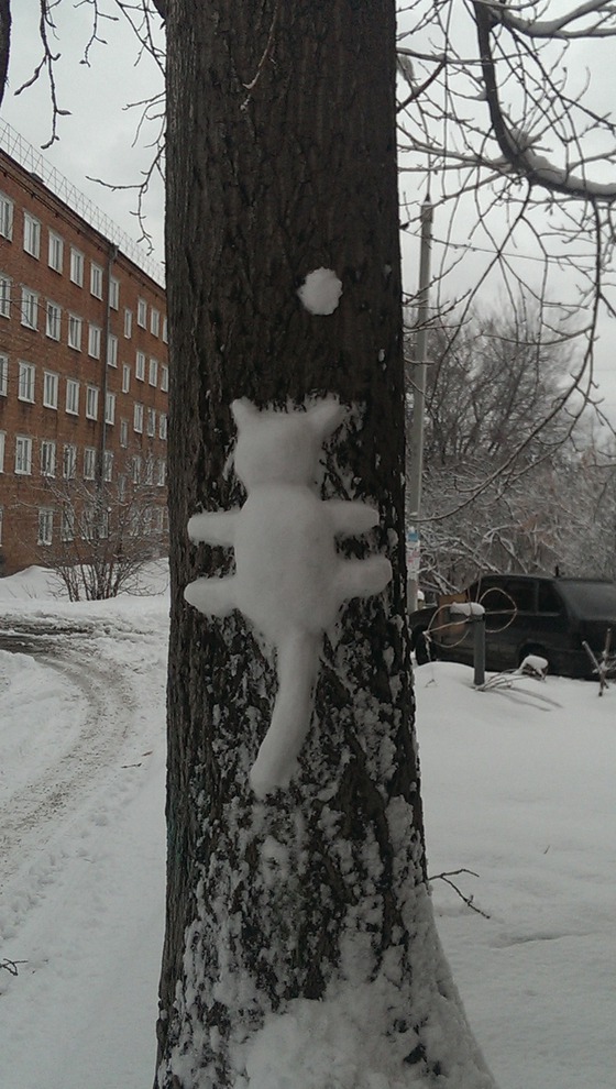 Фото Оксаны Довгалюк