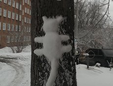 Фото Оксаны Довгалюк