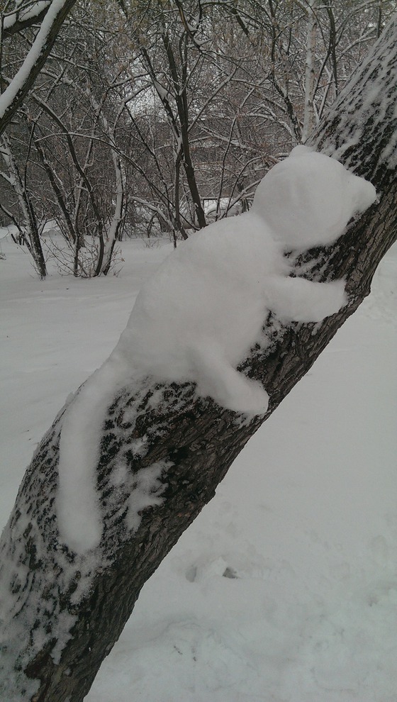 Фото Оксаны Довгалюк