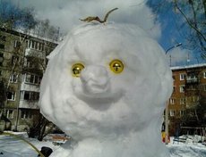 Фото @JuliaTrimbita