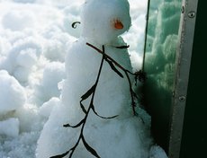 Фото Ольги Заяц