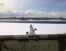 Фото Елены Кузнецовой