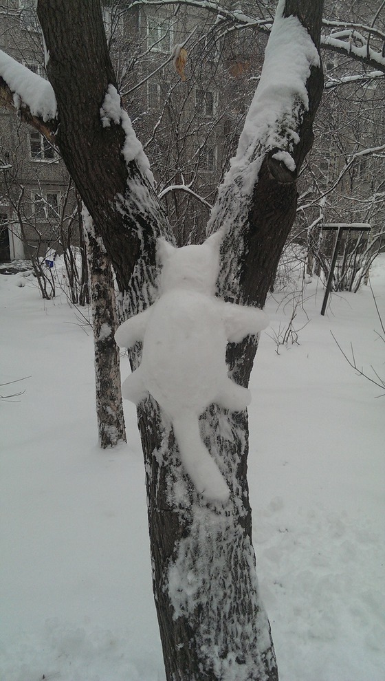 Фото Оксаны Довгалюк